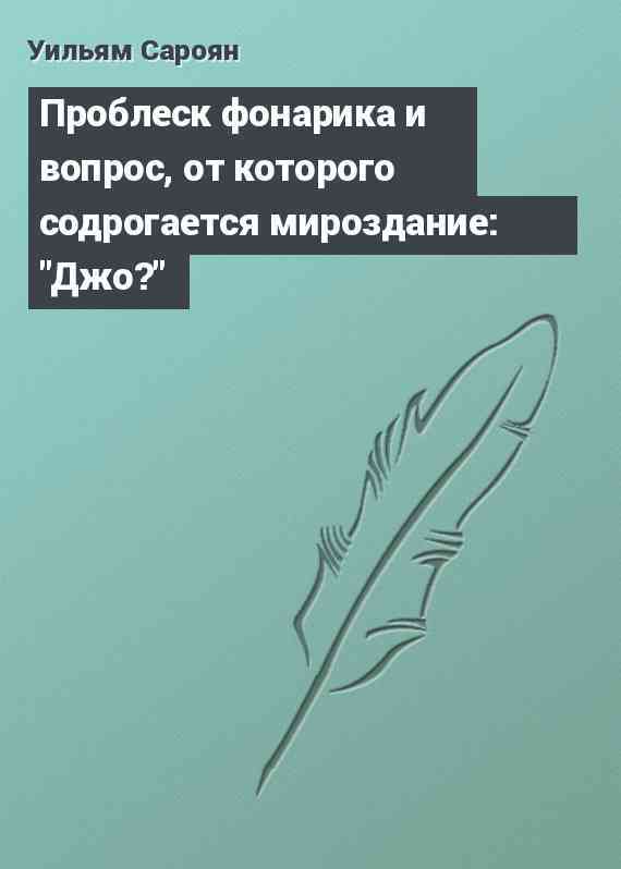 Проблеск фонарика и вопрос, от которого содрогается мироздание: 