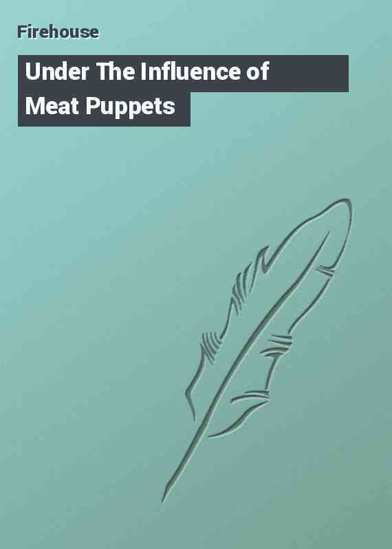 Under The Influence of Meat Puppets