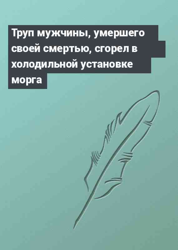 Труп мужчины, умершего своей смертью, сгорел в холодильной установке морга