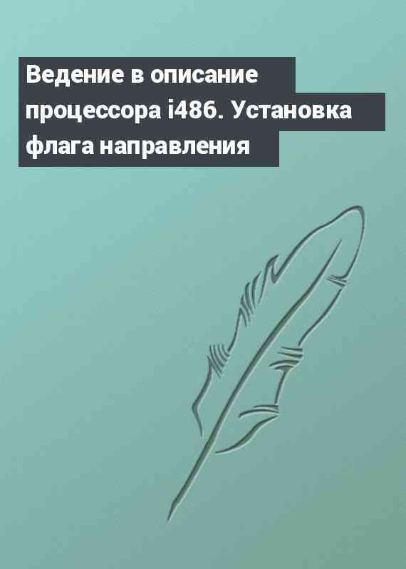 Ведение в описание процессора i486. Установка флага направления