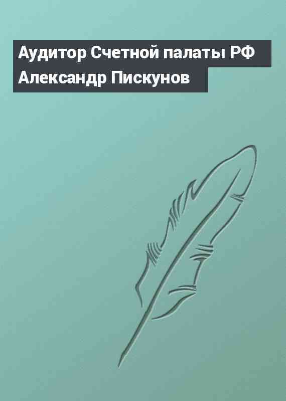 Аудитор Счетной палаты РФ Александр Пискунов