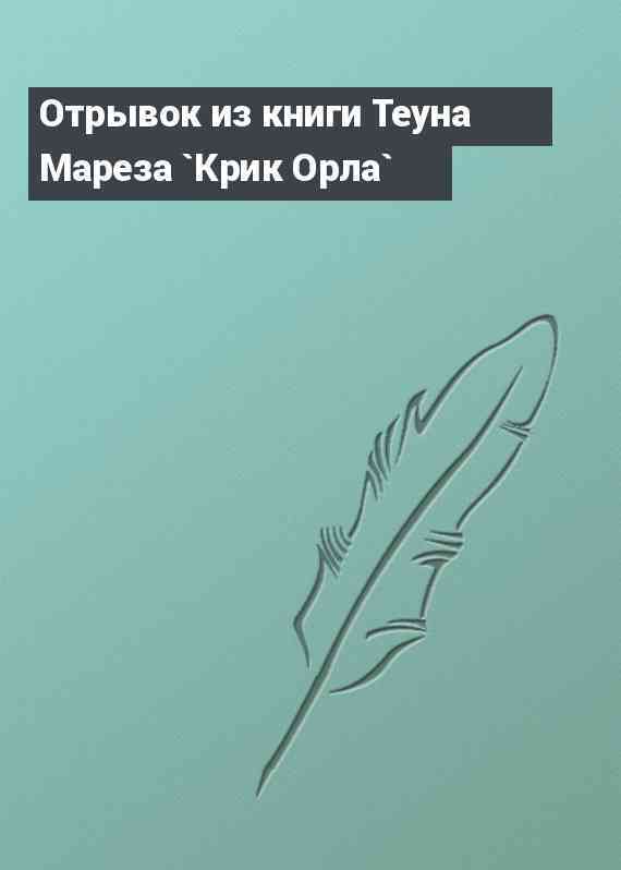 Отрывок из книги Теуна Мареза `Крик Орла`