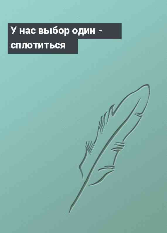 У нас выбор один - сплотиться