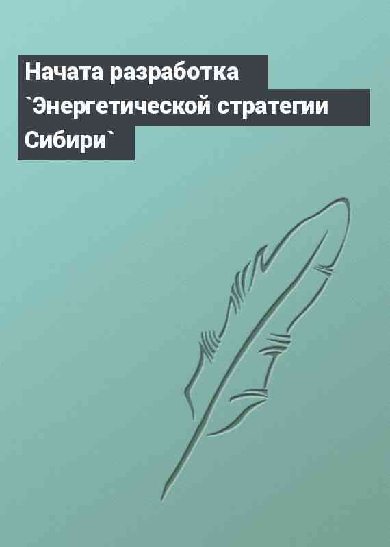 Начата разработка `Энергетической стратегии Сибири`