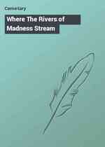 Where The Rivers of Madness Stream