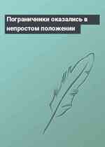 Пограничники оказались в непростом положении