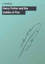 Harry Potter and the Goblet of Fire