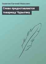 Слово предоставляется товарищу Чурыгину