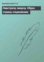 Навстречу смерчу. Образ страны социализма