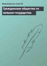 Гражданское общество vs сильное государство