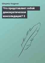 Что представляет собой демократическая консолидация? 3