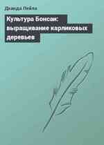 Культура Бонсаи: выращивание карликовых деревьев