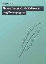 Пилот `штуки`. На Кубани и под Белгородом