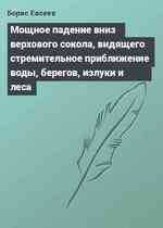 Мощное падение вниз верхового сокола, видящего стремительное приближение воды, берегов, излуки и леса